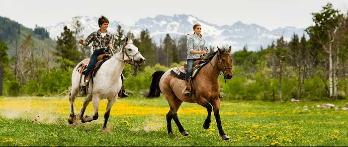 Confident plus-size woman riding Irthlingborough a horse through a field with a smile on her face.